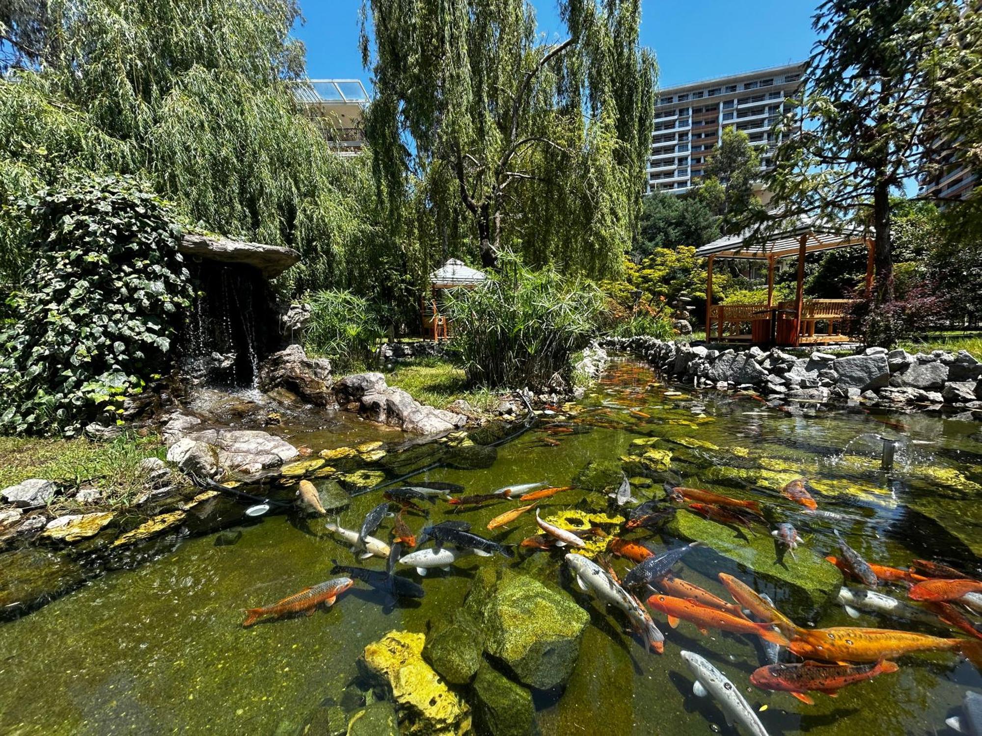 Cемейный Номер С Балконом На 4 Чел Dreamland Oasis Chakvi Exterior photo